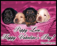 Free Valentine Puppies Wallpaper