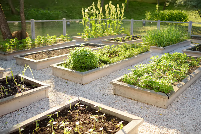 Best Garden Design Ideas