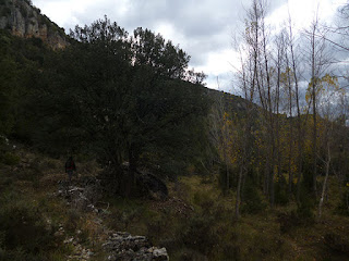 Barranco del río Ablanquejo