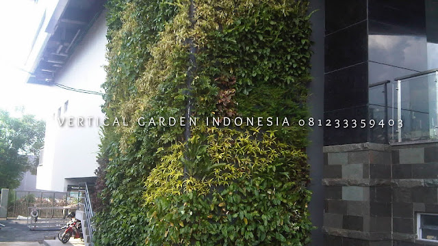 VERTICAL GARDEN INDONESIA SPESIALIS JASA PEMBUATAN VERTICAL GARDEN DI PURBALINGGA JAWA TENGAH DAN DI SELURUH WILAYAH JAWA TENGAH DENGAN TENAGA YANG PROFESIONAL DAN DAPAT DI PERCAYA YANG SELALU MENGUTAMAKAN SEBUAH MUTU DAN KUALITAS PEMASANGAN VERTICAL GARDEN/TAMAN DINDING, JASA TUKANG TAMAN VERTICAL PURBALINGGA JAWA TENGAH, JASA VERTICAL GARDEN PURBALINGGA JAWA TENGAH