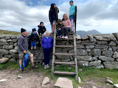 Mourne wall at the bottom of Slieveloughshannagh