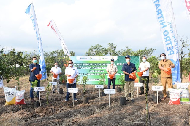 Perluas Agro Solution, Petrokimia Gresik-Kadin Garap Komoditas Jeruk 