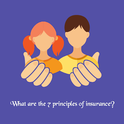 What are the 7 principles of insurance?