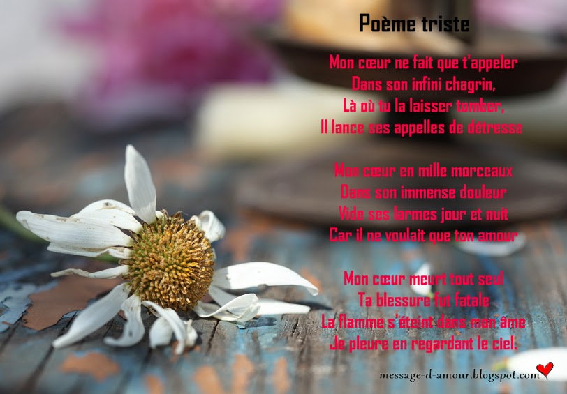 Fleur fanÃ©e poÃ¨me d'amour triste