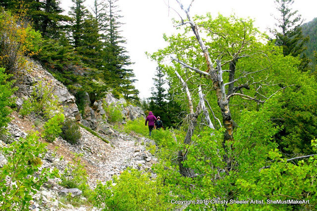 The trail turns to shale like rock as we work our way uphill again.  This is a more open area with less tree cover so we may get a bit wet.