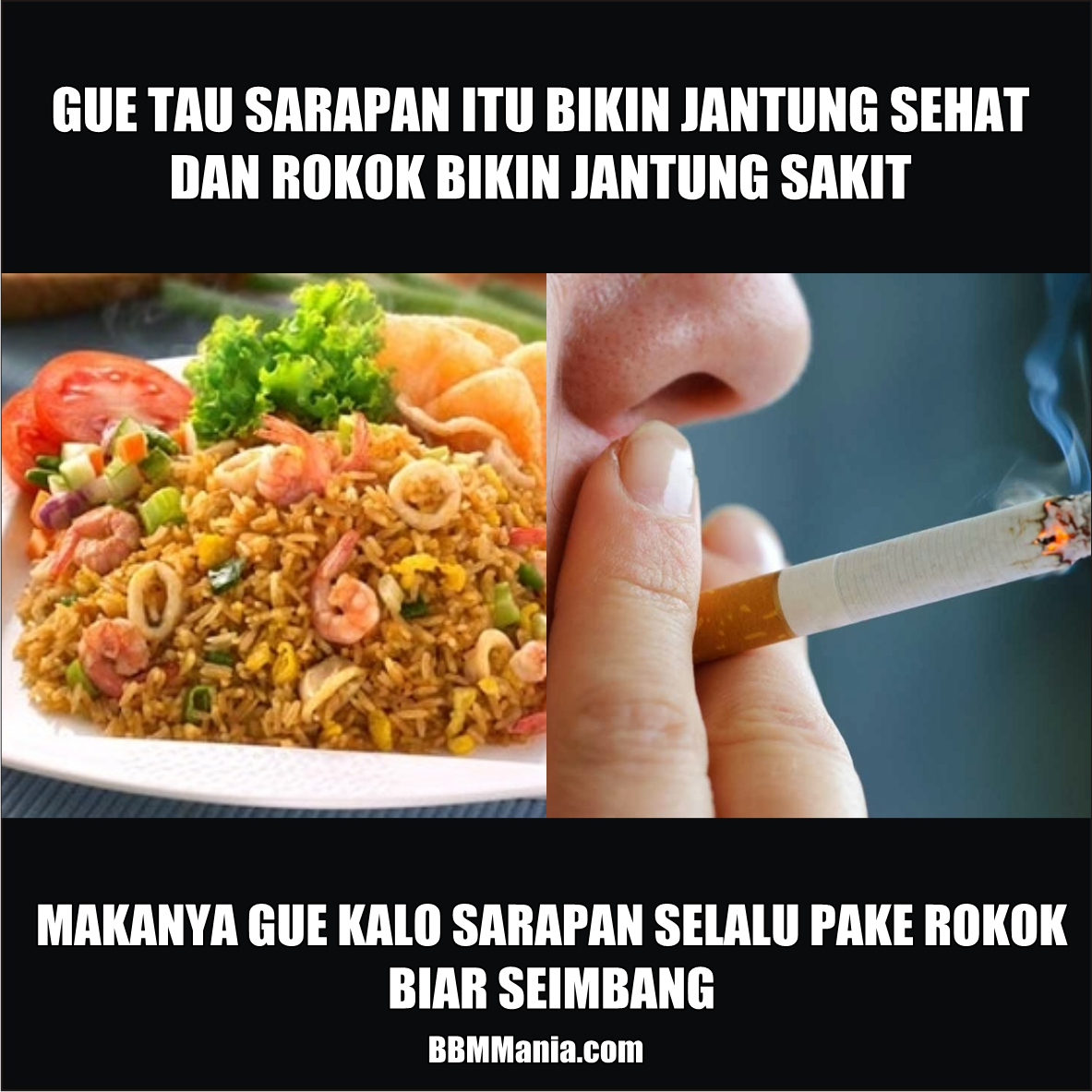 Gambar Dan Kata Kata Lucu Tentang Rokok Stok Gambar Lucu