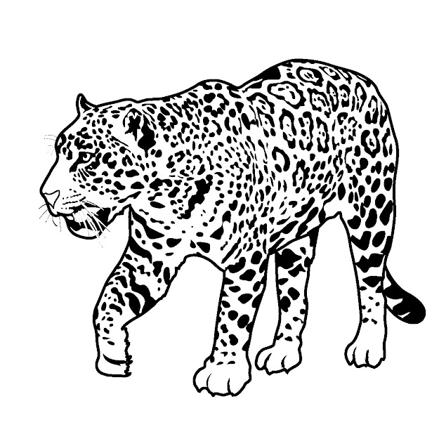 Rain Forest Animals To Color  Rain Forest Theme Unitworksheets And  Printables 