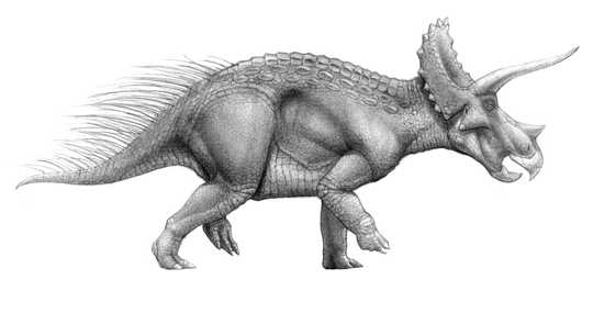 Gambar Sketsa Dinosaurus Terbang  Contoh Sketsa  Gambar
