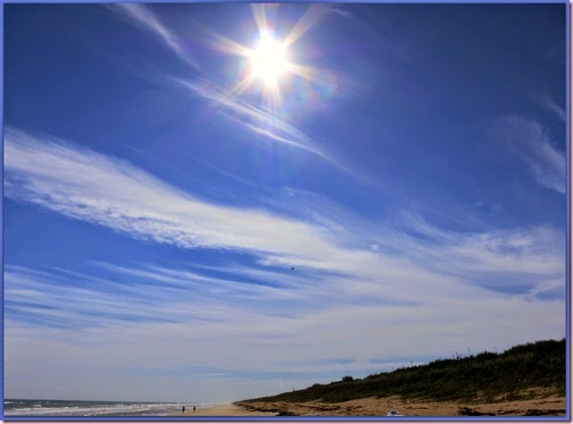 sunIMG_9364