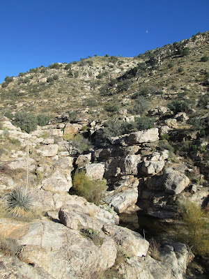 Molino Canyon From Vista Santa Catalina Mountains Arizona