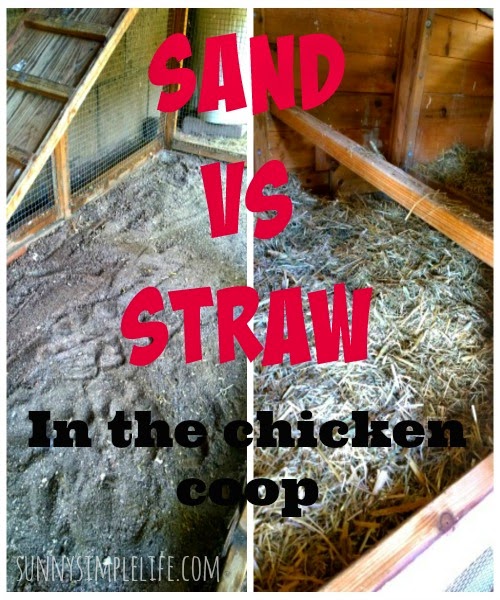 Sunny Simple Life: Sand VS. Straw Or Shavings In The Coop