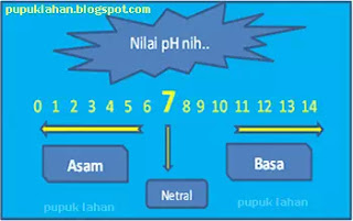 Cangkang Telur Alternatif Dolomit Pada Media Tanam Dalam Pot