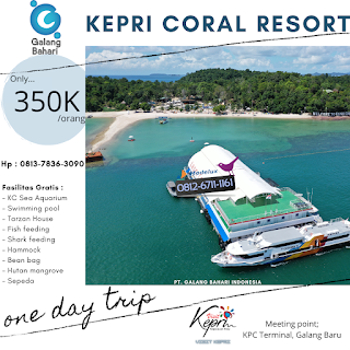Pengalaman ke Kepri Coral Resort dengan Wisata Galang Bahari Tour Travel 0812-6711-1161
