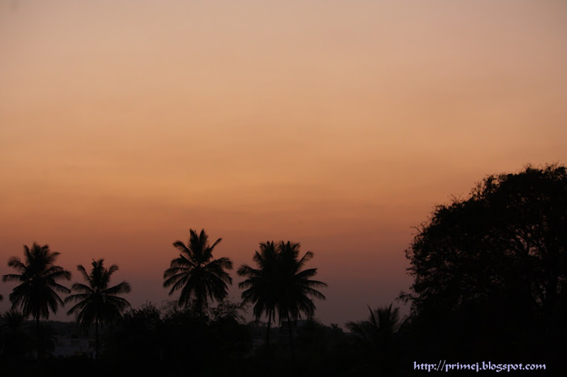 Evening sky