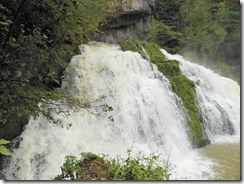 DSCN0333