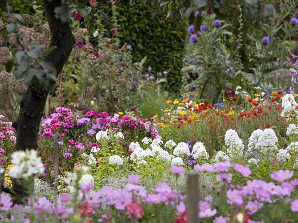 a Community Flower Gardens