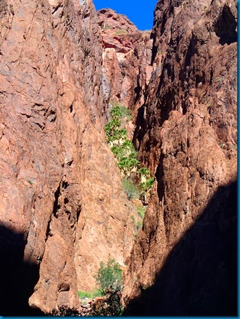 2014-02-12 047
