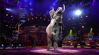   dresdner weihnachtszirkus, weihnachtszirkus dresden dauer vorstellung, dresdner weihnachts-circus | familientag, 4. januar, dresdner weihnachts-circus, 5. januar, weihnachtszirkus dresden preise, dresdner weihnachts-circus, 2. januar, dresdner weihnachts-circus, 6. januar, dresdner weihnachts-circus | premiere, 20. dezember, dresdner weihnachts-circus, 3. januar