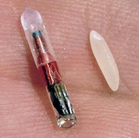 edible microchips: tracking you from inside
