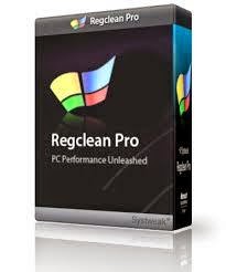 regclean pro 6.21.0.0 license key