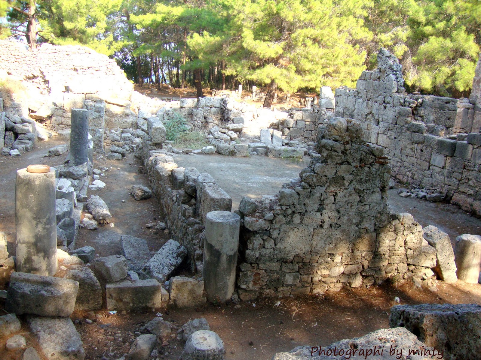 phaselis 7