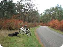 op de witte fiets door Park de Hoge Veluwe met Kyra
