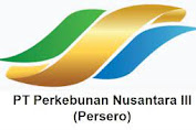 Ekonom Indef Yakin Langkah PTPN Bentuk PalmCo Untuk Kendalikan Pasokan Minyak Goreng 