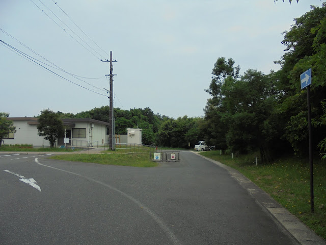 夏間近のむきばんだ遺跡公園