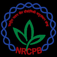 NRCPB Recruitment