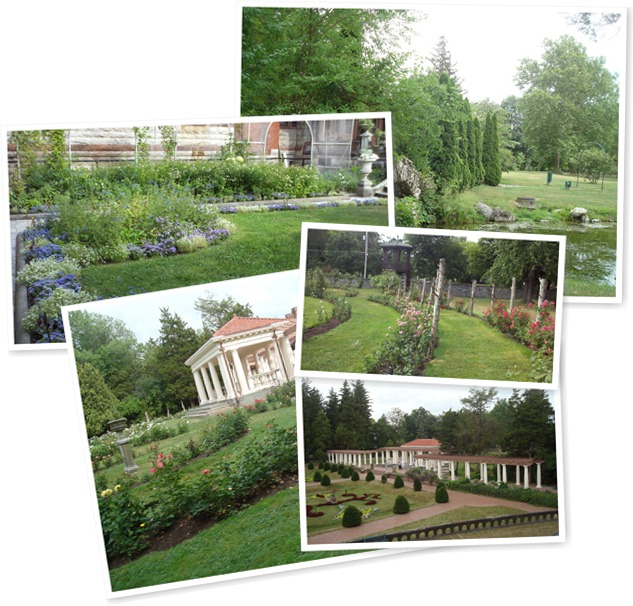 View album