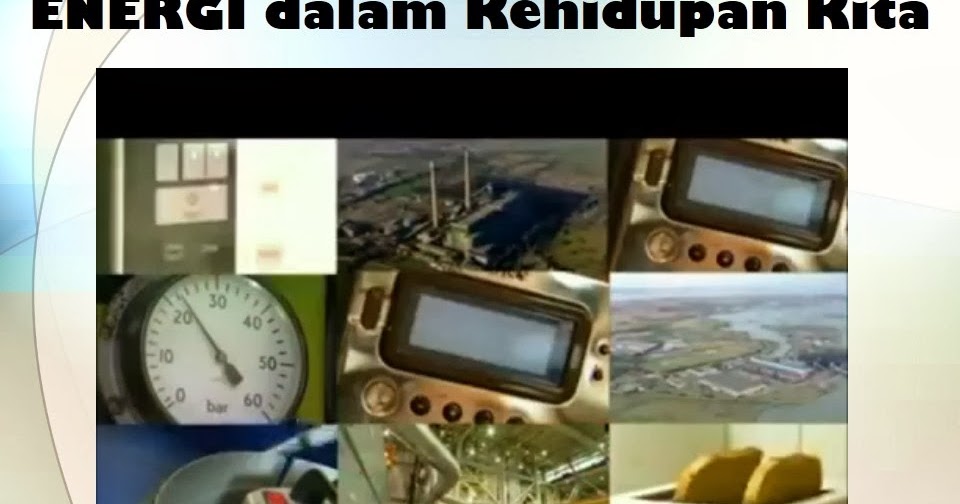 Contoh Ekosistem Di Sekitar Lingkungan Tempat Tinggalmu 