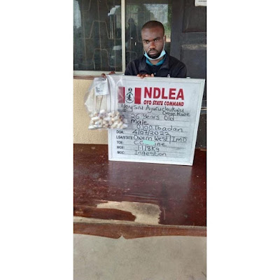 How Young Man Travelling By Road To Algeria, Excreted 47 Wraps Of Cocaine In Oyo State