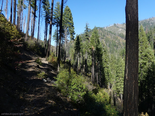 nice trail on the hill side