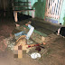 Jovem de 19 Anos é Morto com Tiro de Escopeta no Bairro Aristides, em Feijó