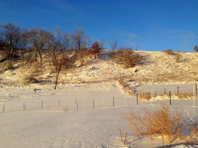 winter scene at Litengård