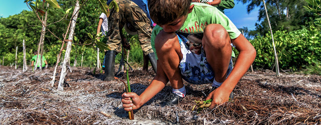 En Cuba se intenta restaurar hábitats naturales para ralentizar el cambio climático.