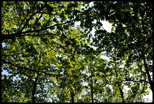 DSC_0021 (kopia)