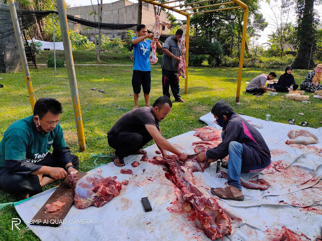 Menyaksikan Program Sedekah Daging Dompet Dhuafa di Zona Madina