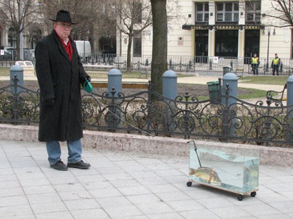 pet fish
