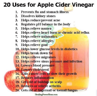 apple cider vinegar - Next Level Nutrition