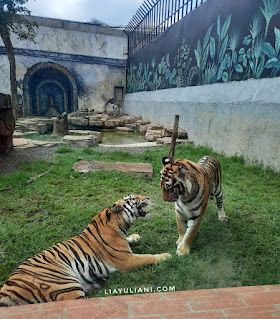 Lembang Zoo