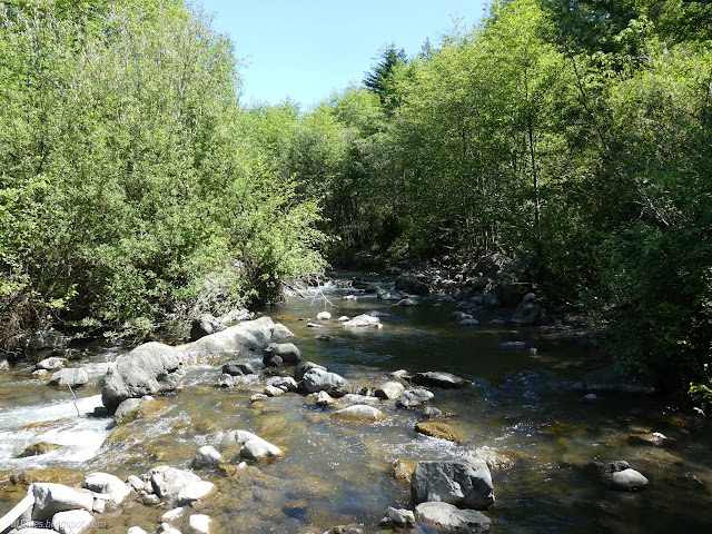 282: upstream on the creek