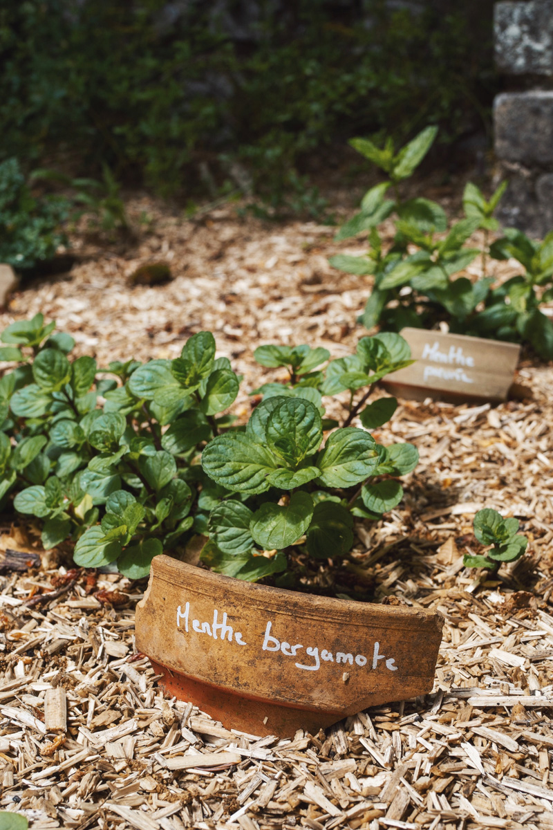 DIY - étiquettes de jardin avec des pots en terre cuite