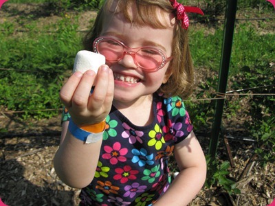 IMG_1975 IMG_1975