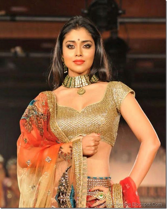 Shriya Saran Hot in Golden Saree on Ramp 12
