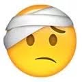 arti emoji lengkap