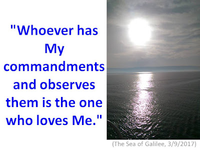 http://faithfulinthe8th.blogspot.com/2017/05/whoever-has-my-commandments-and.html