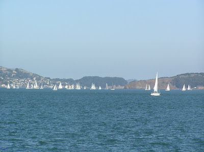 Sailboats in San Francisco Harbour