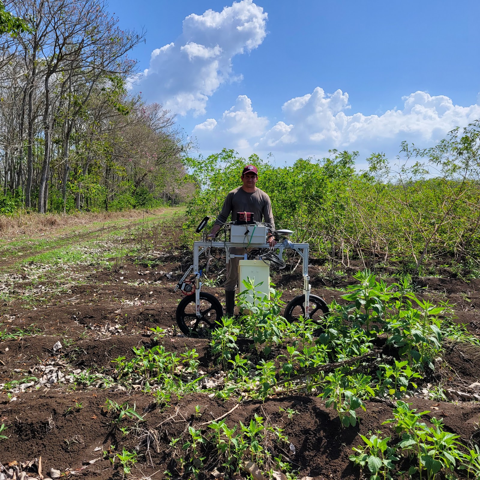 Image of Henry Ruiz in the field at Texas A&M University AgriLife Research Department