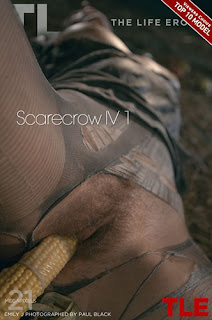 Download Emily J "Scarecrow IV 1"